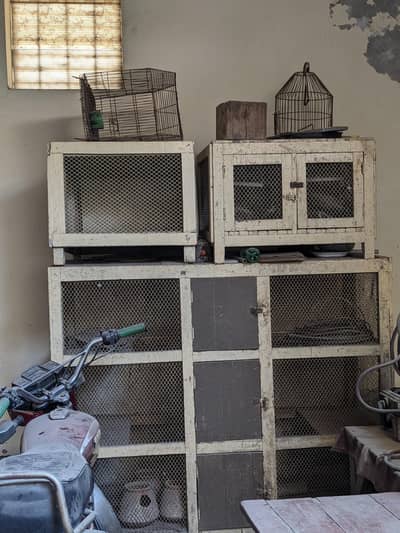 birds cage for sale
