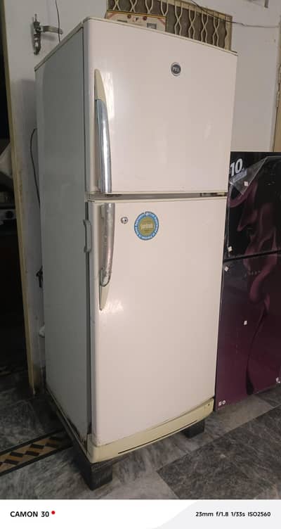 Pel Fridge Medium Size
