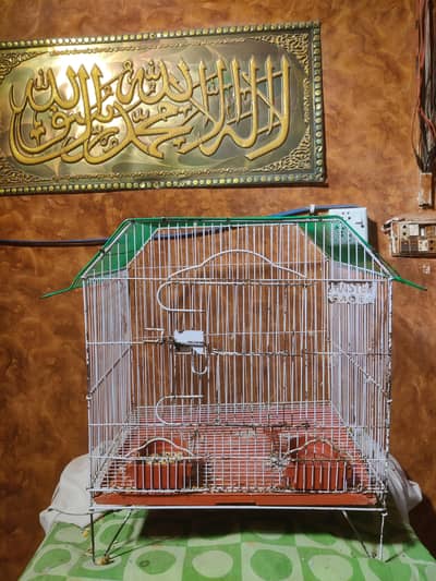 parrot pinjra