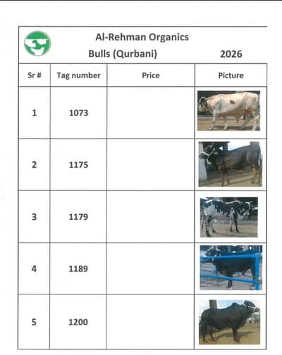 qurbani 2026