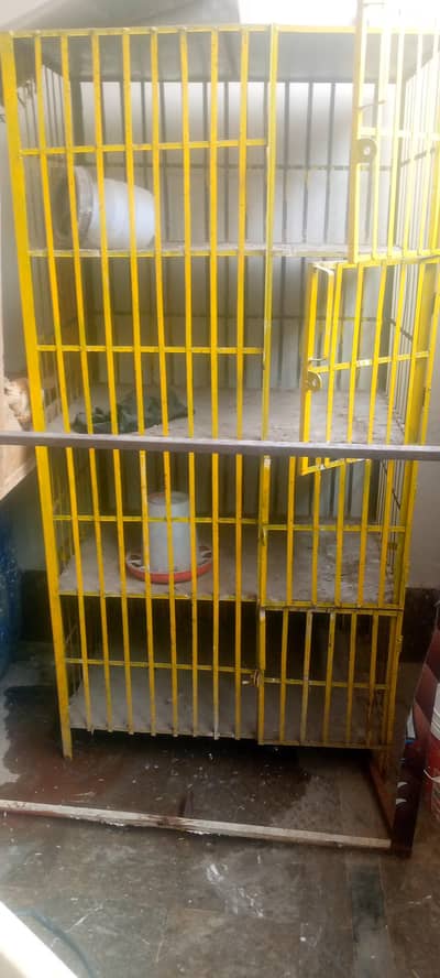 chicken shop accessories for sale