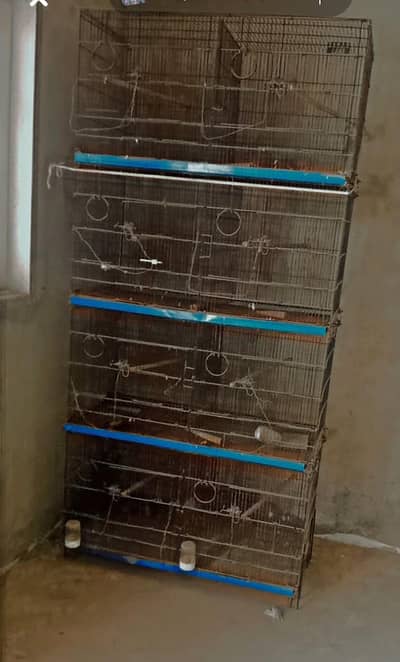 8 porshan cage.