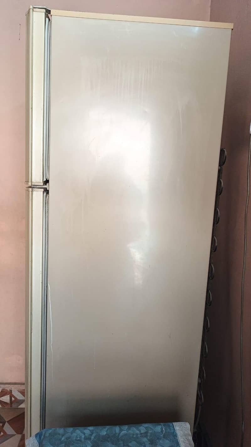 fridge 1