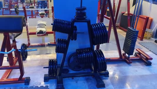 Heavy Duty A-Shape Weight Plate Rack / Tree Stand for Gym