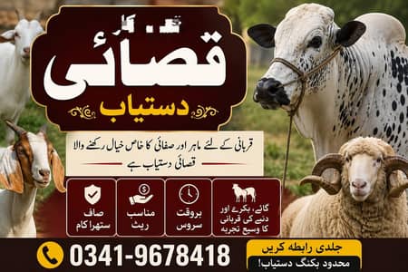 Butcher/Qasai/Qasab