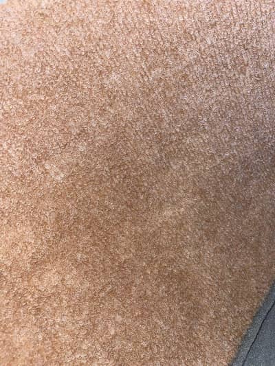Carpet good condition with foam