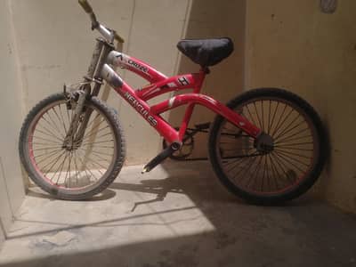 cycle