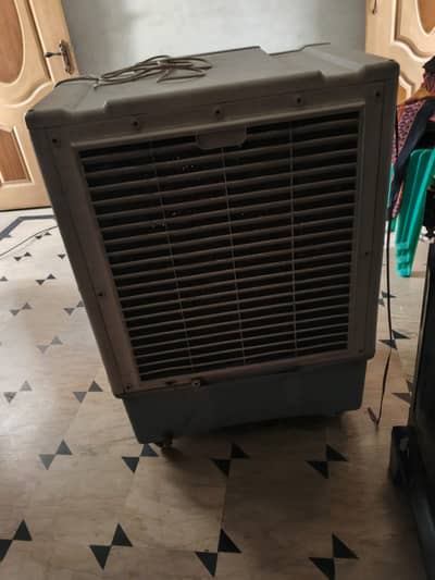 Air Coolers