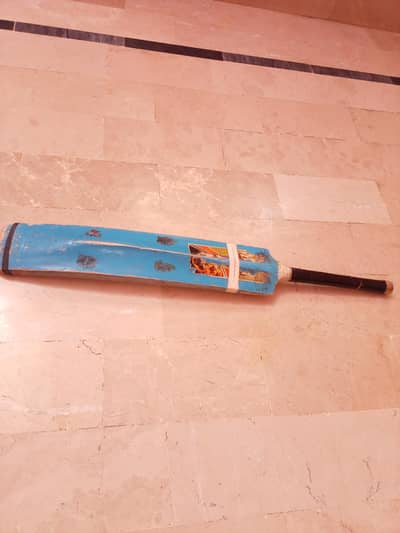 Zalmi cirket bat