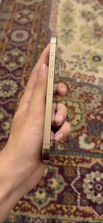 13 pro