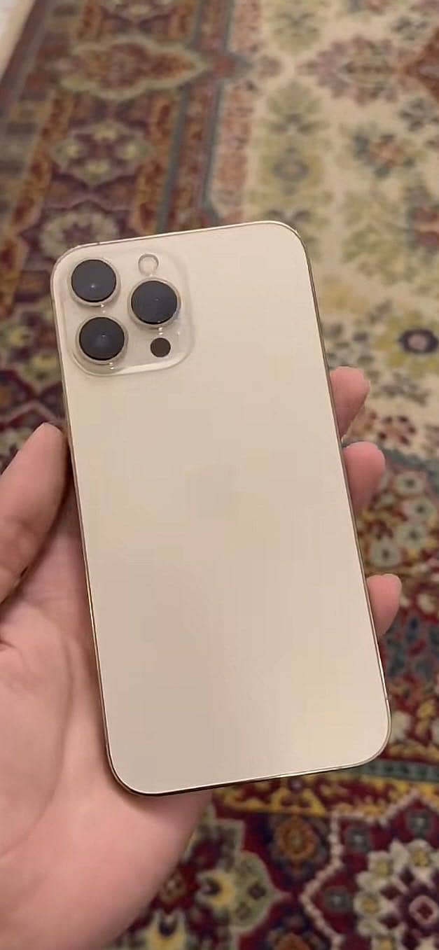 13 pro 2