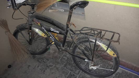 20 size cycle