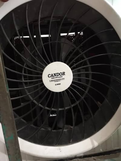 Model CanDor