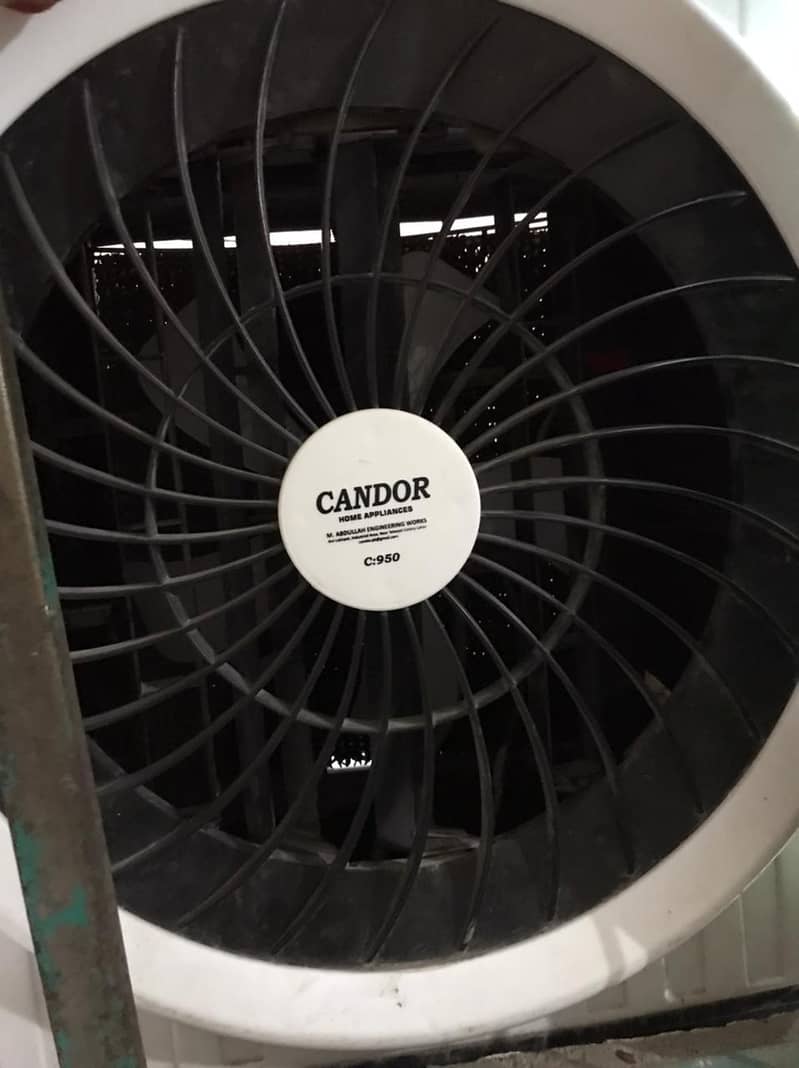 Model CanDor 0