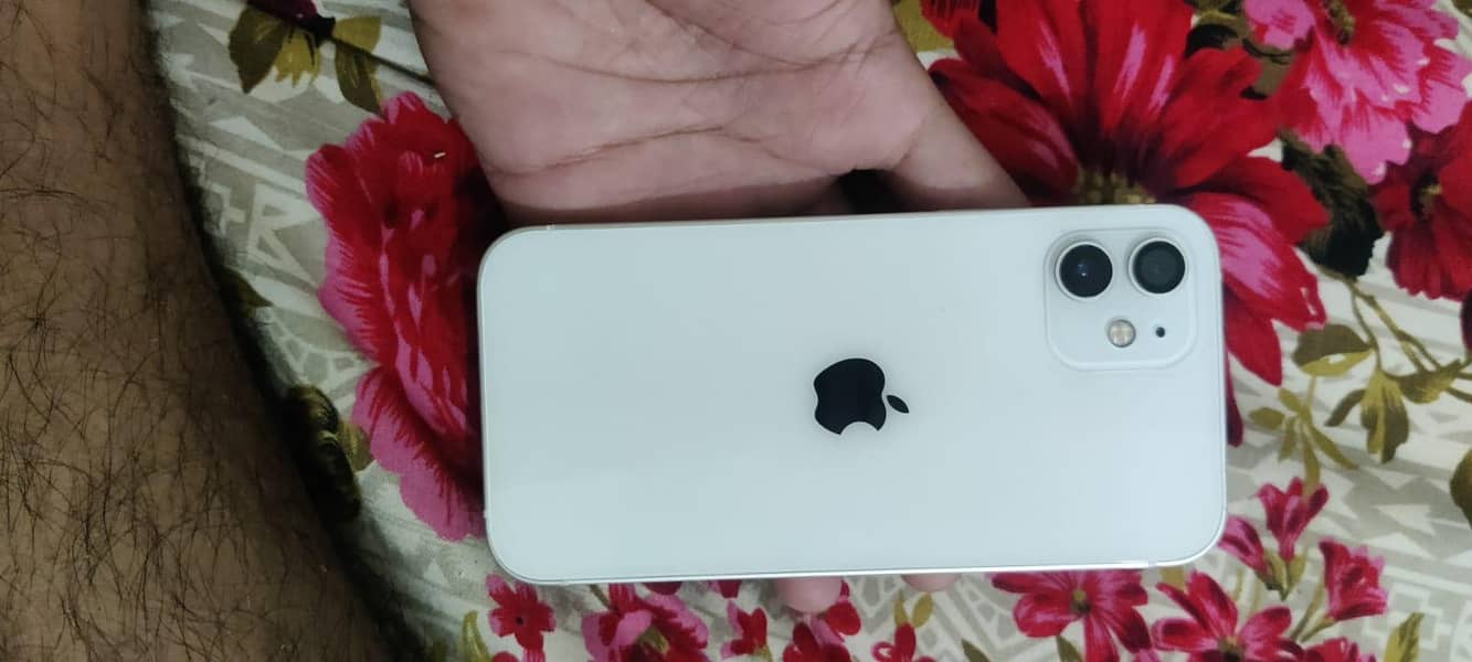 iPhone 12 0