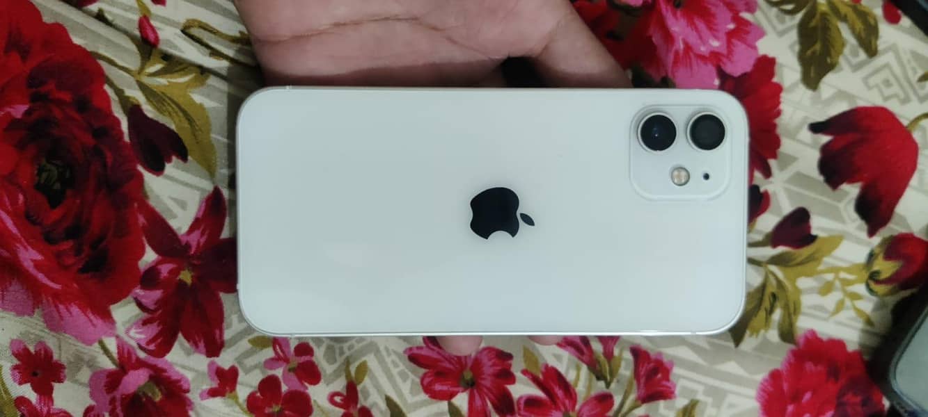 iPhone 12 1