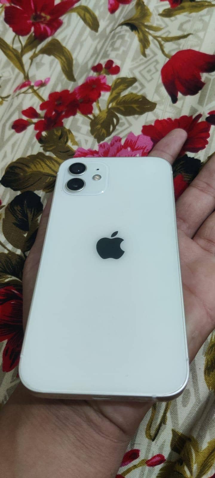 iPhone 12 4