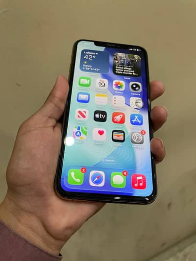 11 pro max only phone 10/10