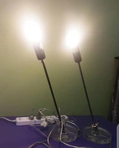 Fangio lighting imported lamps