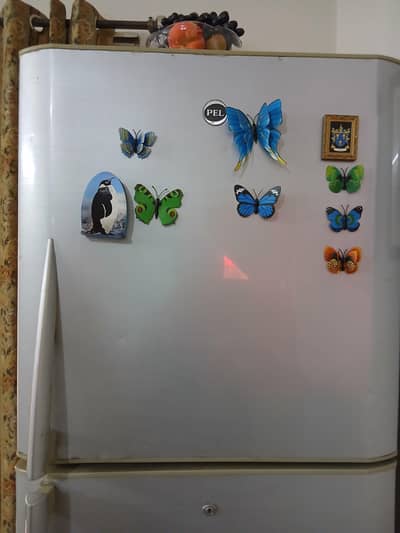 Pel Fridge large size working best fixed price Askari 10.