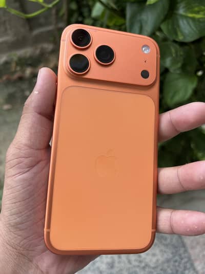 17 Pro max non pta LLA
