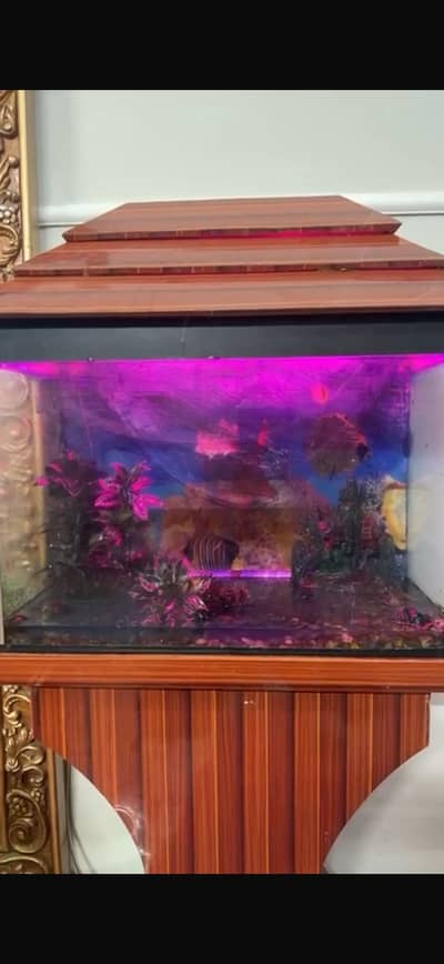 fish aquarium 2 x 1.5 x 1 feet