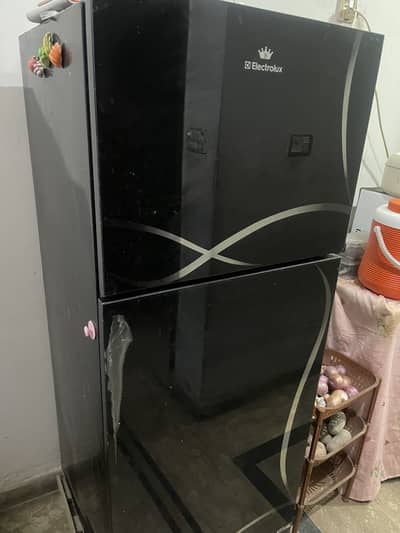 Electrolux Regular Size