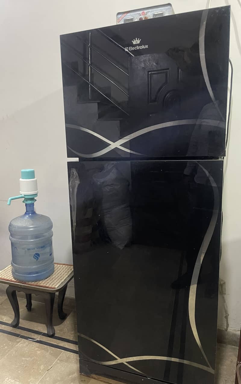 Electrolux Regular Size 1