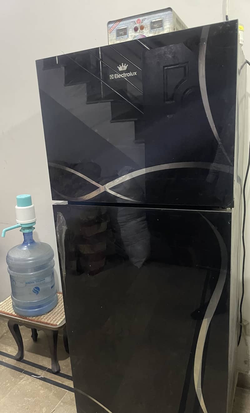 Electrolux Regular Size 2