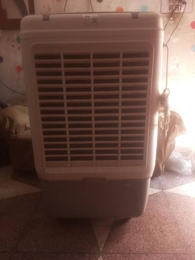 1 season used oly