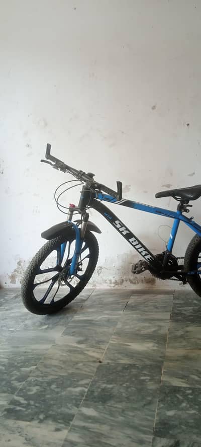 Sk bicycle