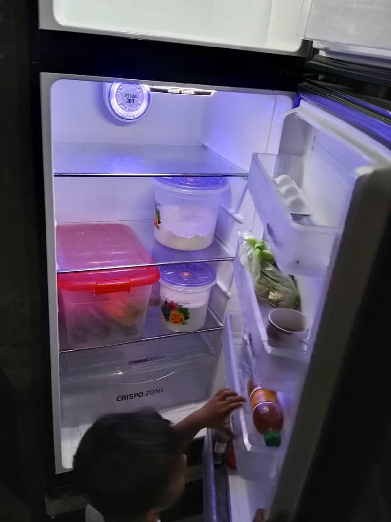 pell fridge 2