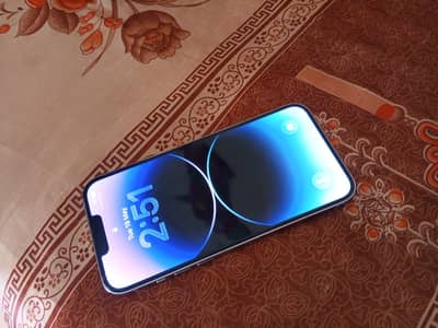 13 promax