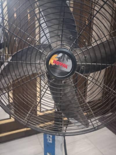 pedestal fan for sale