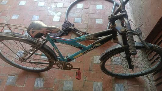 continental company best cycle