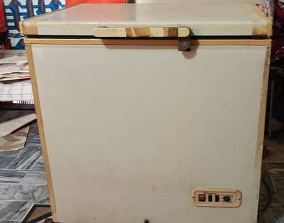 Deep Freezer for Sale – Working Condition