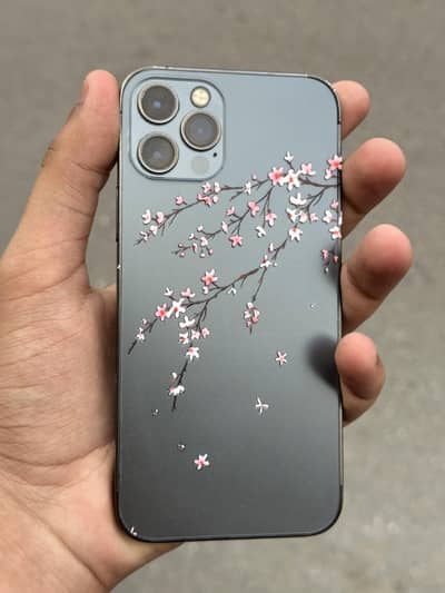 iphone 12 pro ak dam chucha piese ha 10/9.5 condition