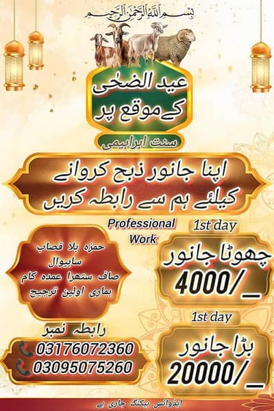 Ali hamza qasab