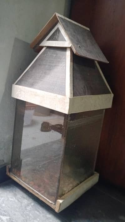 Fish Aquarium
