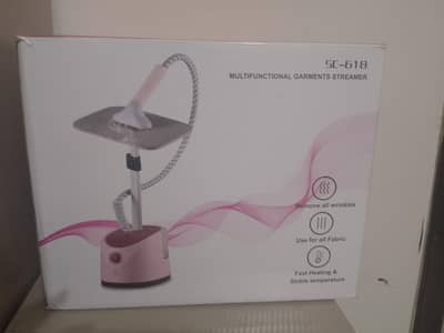 garment steamer 2000w