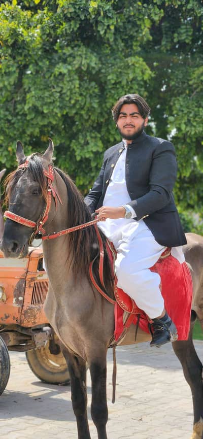 Mehar Mouzam