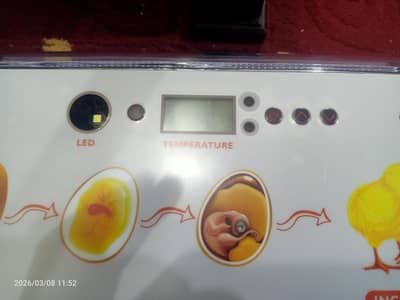20 eggs smart automatic incubator