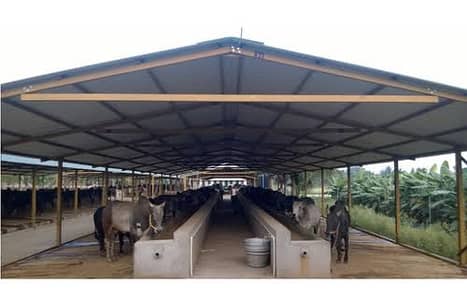 Marquee Shed Industrial Steel Structure Cold Storage PPGI Shed