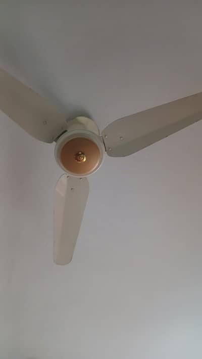 Starco Ceiling Fans | 56 inch | Copper Winding