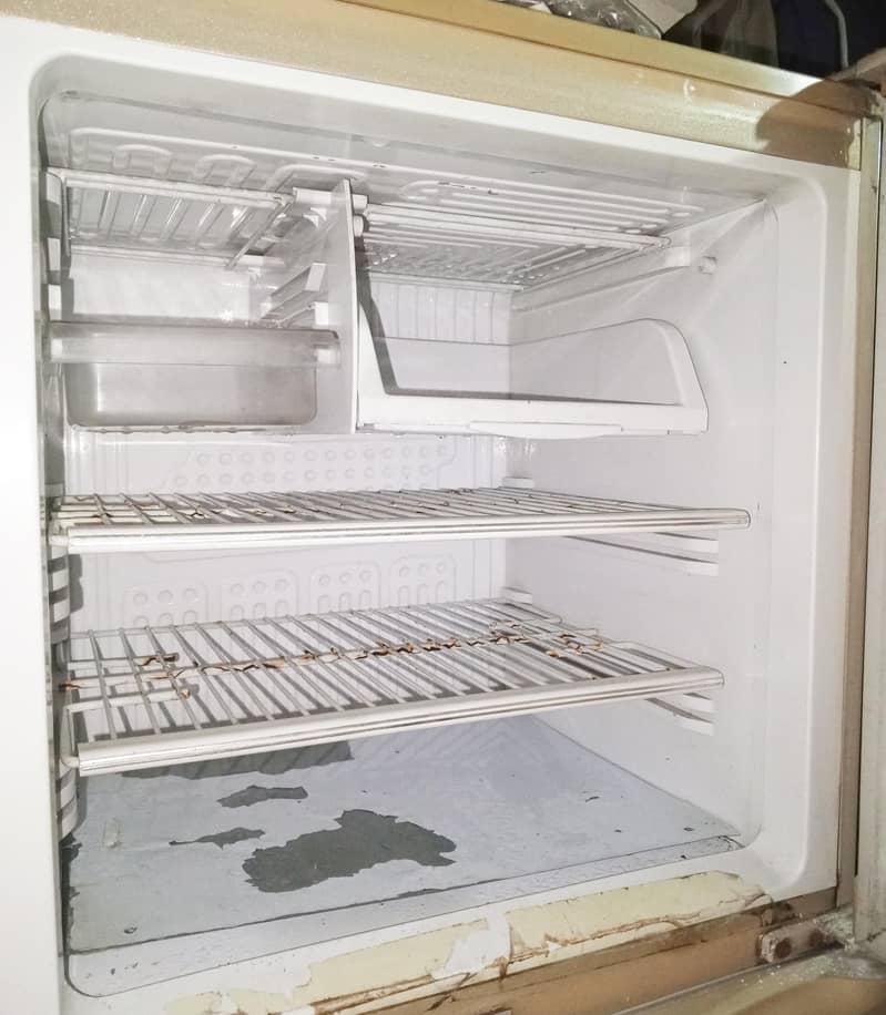 fridge 2
