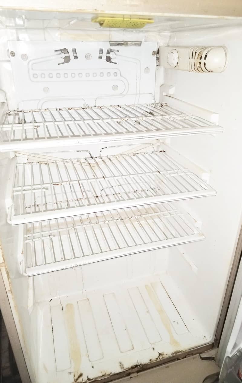 fridge 3