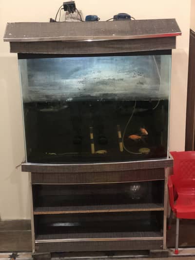 Fish aquarium with all accessories and fishes