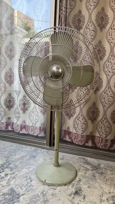 Pak Fan 24 Inch Pedestal Fan (600mm) – Powerful Air Throw, Pure Copper