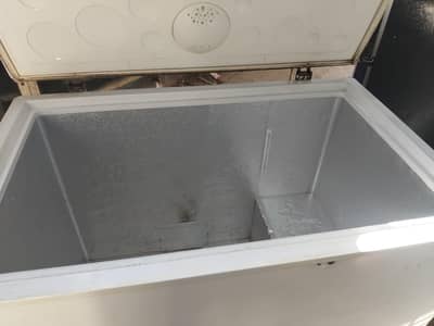 Haier Freezer