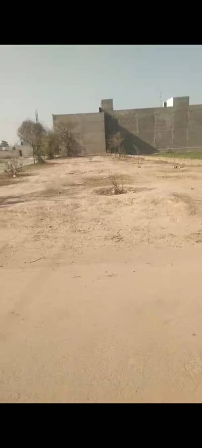 25 Marla Prime Commercial plot for sale in Mamukanjan